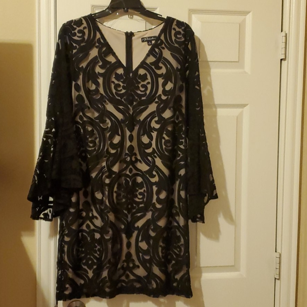 Dress see thru kinda material very elegant formal